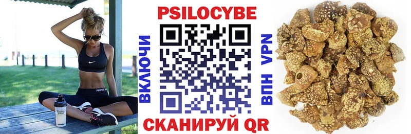 shop состав  где купить наркотик  Порхов  Псилоцибиновые грибы ЛСД 